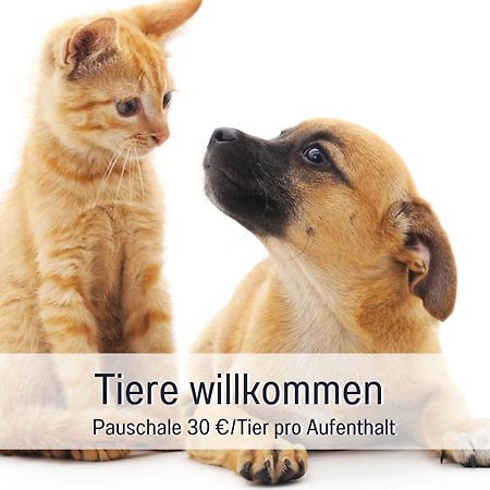 Rosmarin - Kuschelige Fewo - Romantik & Entspannung Im Whirlpool Auf Privater Terrasse, Ruhe & Hund Willkommen - By Ferienwohnenamsee - Uberlingen Esterno foto