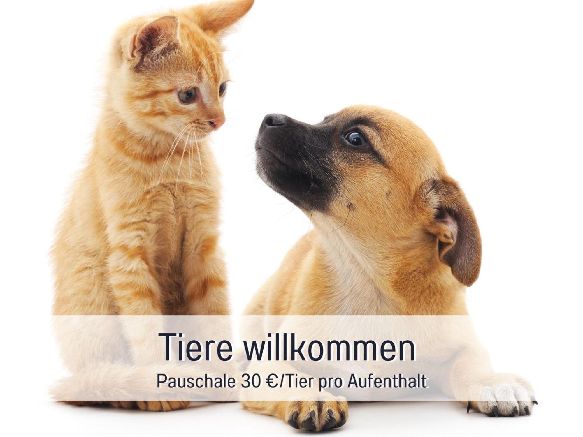 Rosmarin - Kuschelige Fewo - Romantik & Entspannung Im Whirlpool Auf Privater Terrasse, Ruhe & Hund Willkommen - By Ferienwohnenamsee - Uberlingen Esterno foto